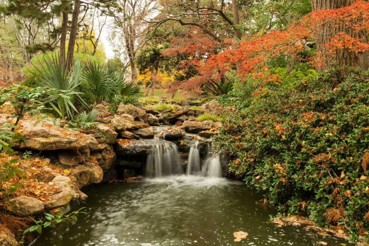 a waterfall at the Fort Worth Botanic Garden