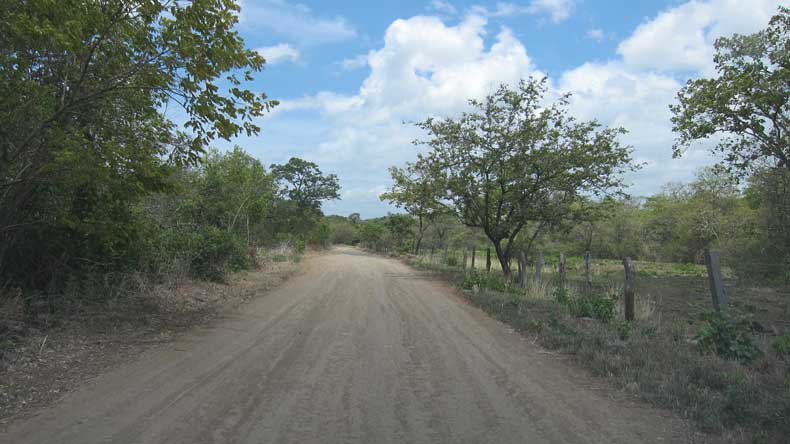 dirt road in Costa Rica 