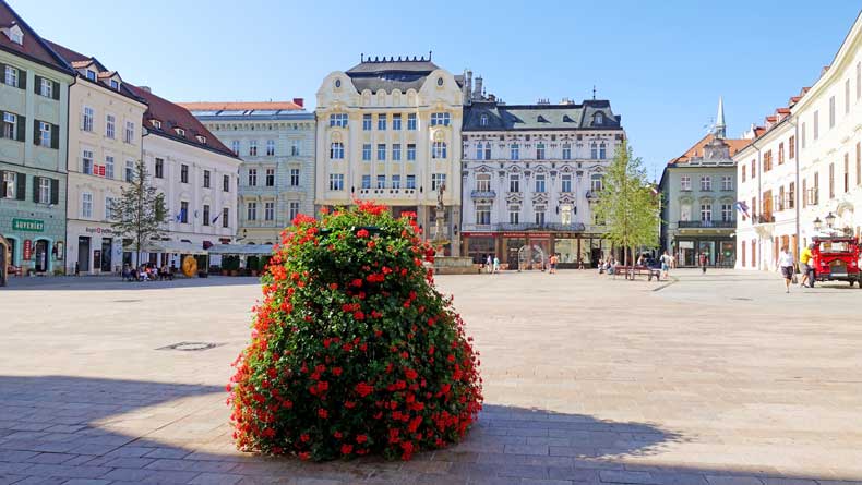 Parenthood and Passports - Bratislava Slovakia