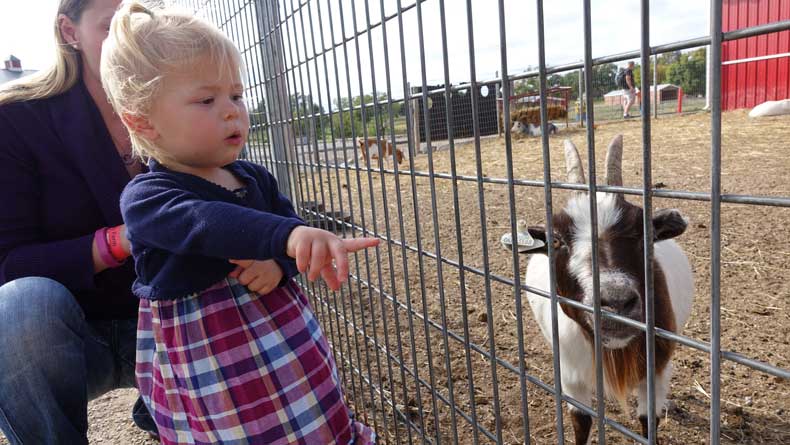 Orr Family Farm is one of the best attractions in Oklahoma City for kids