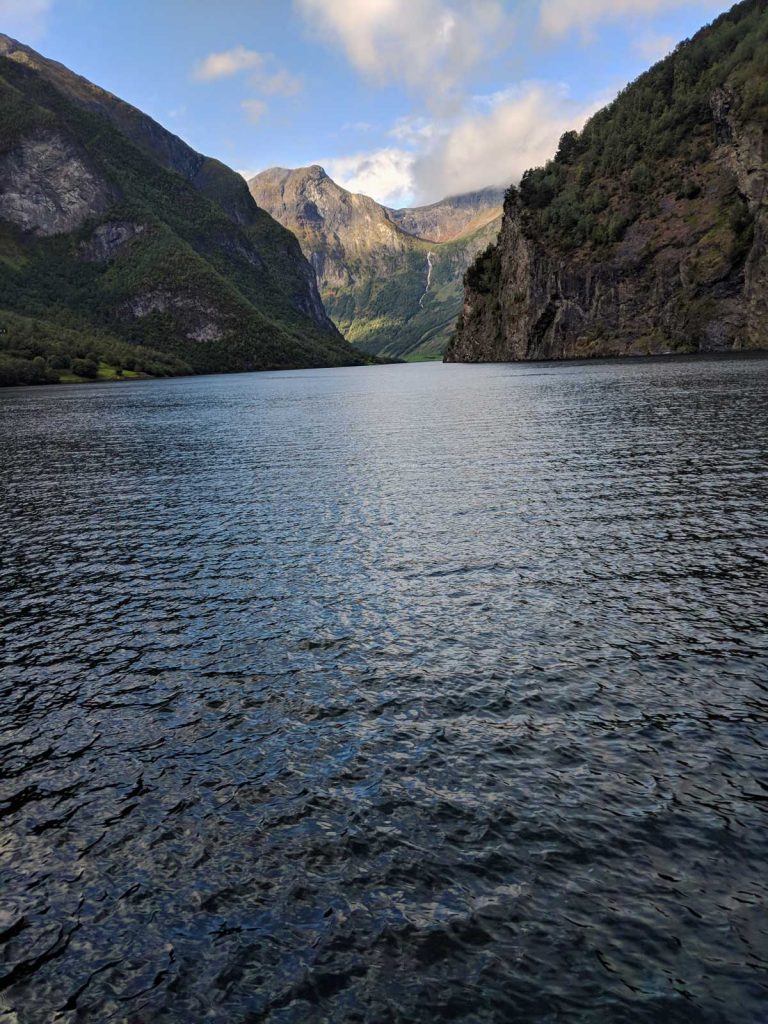 What to do in Flam fjord cruise