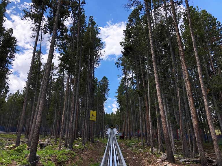 The track going up the breckenridge mountain coaster between tall evergreen trees