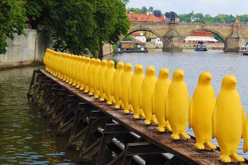yellow penguins statue on the river in Prague