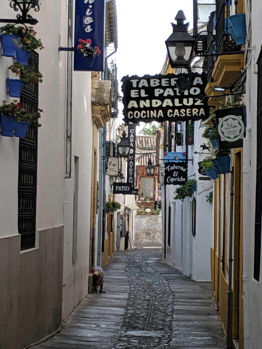A beautiful street in Cordoba Spain