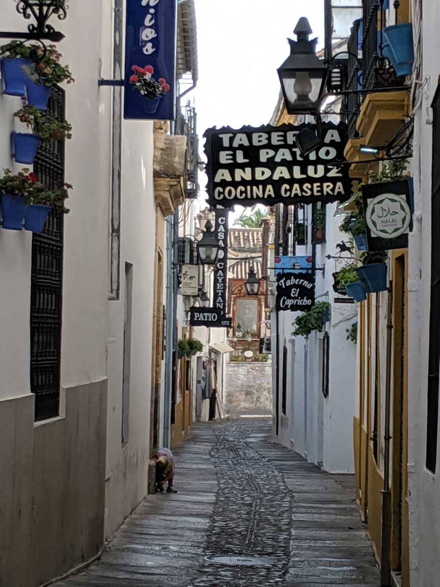 a beautiful street in cordoba, spain, an easy stop on a portugal spain morocco itinerary