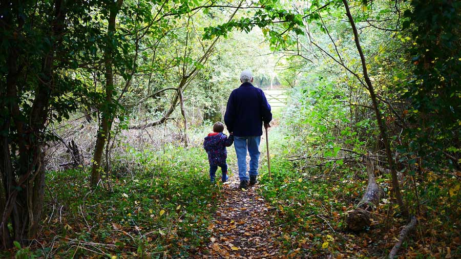 grandfather with a cane and young boy walking through a wooded area 