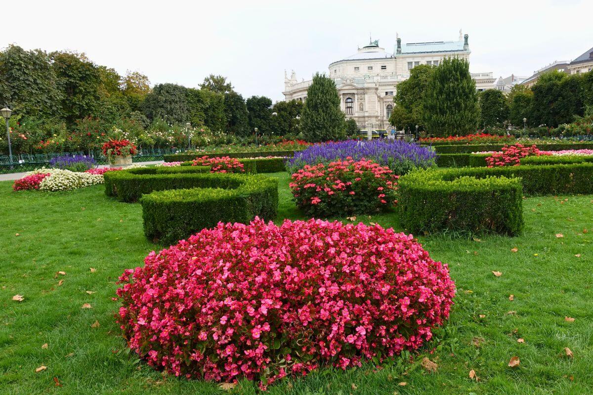 Volksgarten, the oldest public park in Vienna.