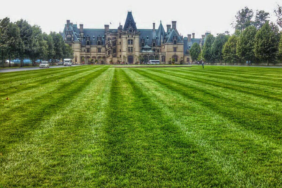 the biltmore estate