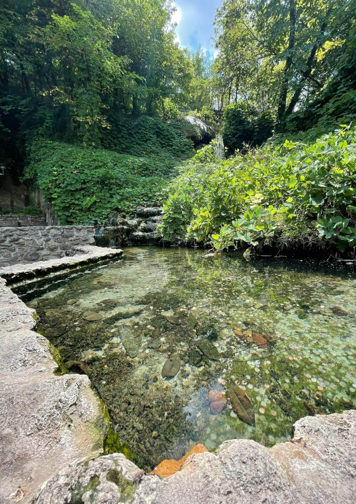 a natural spring in hot springs national park