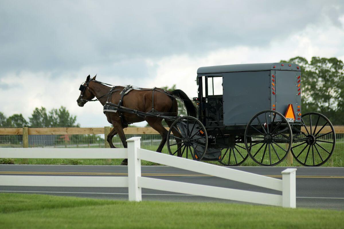 a horse and buggy in Lancaster County Pennsylvania