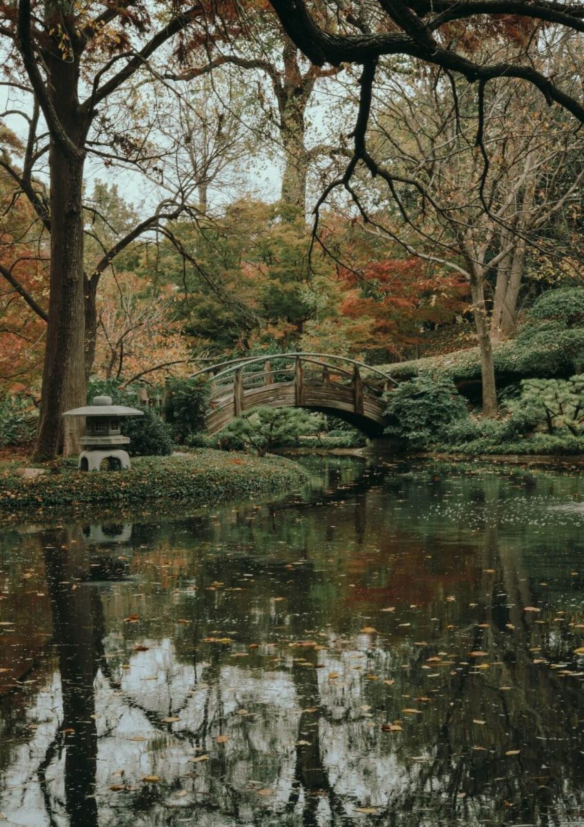 an arched bridge across a pond in the Fort Worth Japanese Garden