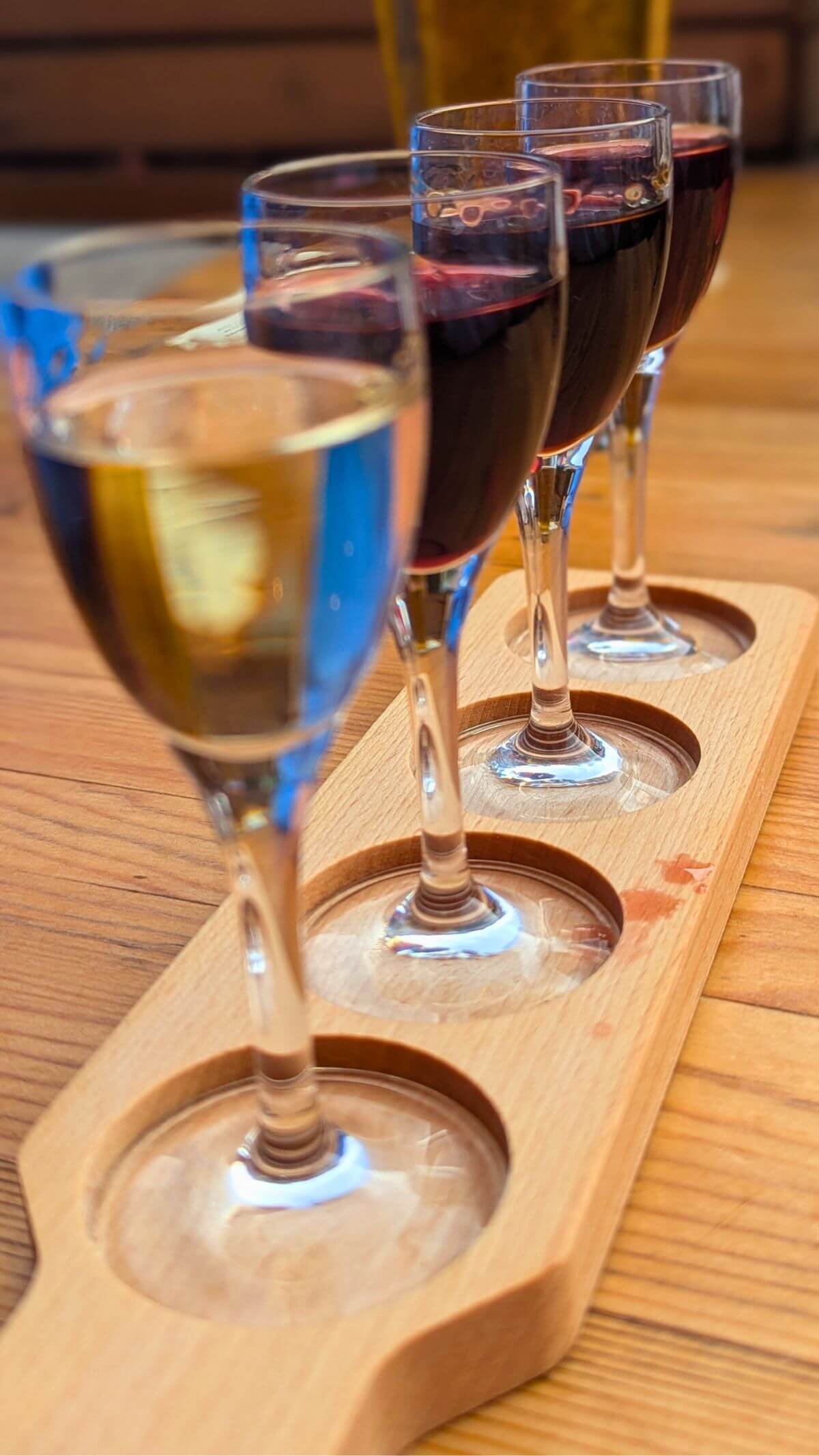 a flight of polish vodkas